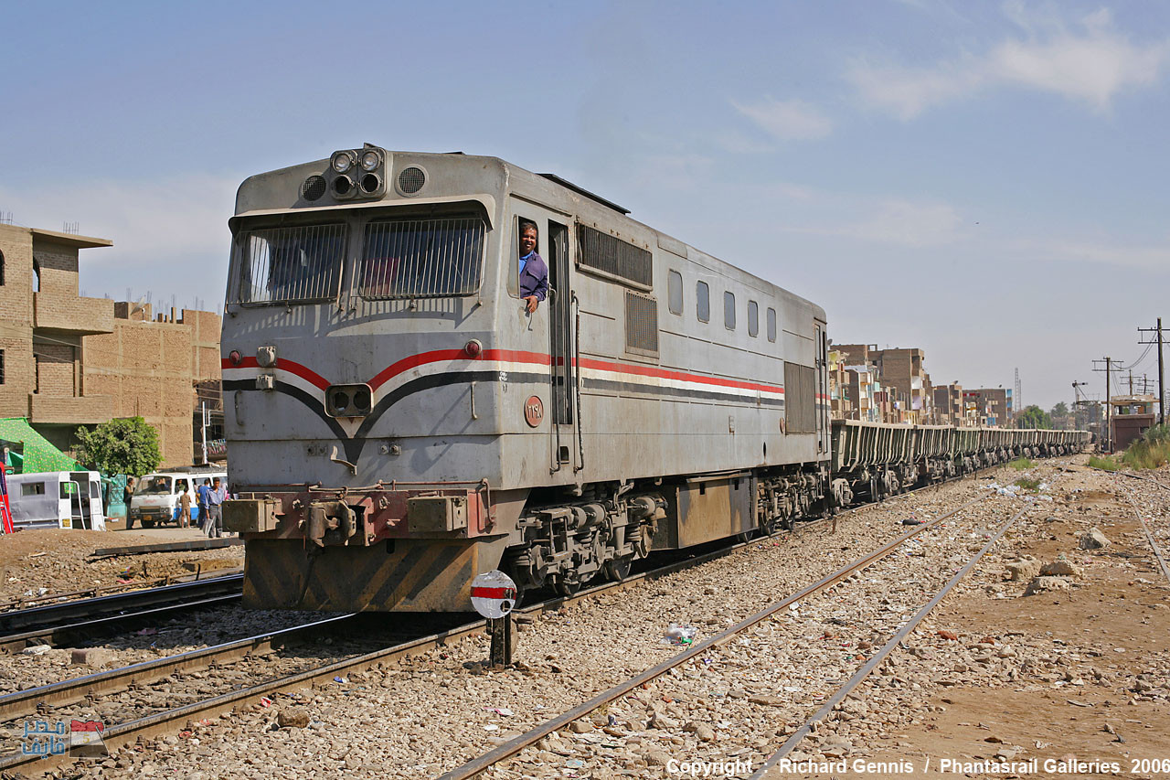 توقف قطار سوهاج – القاهرة لمدة نصف ساعة بسبب «خروف»