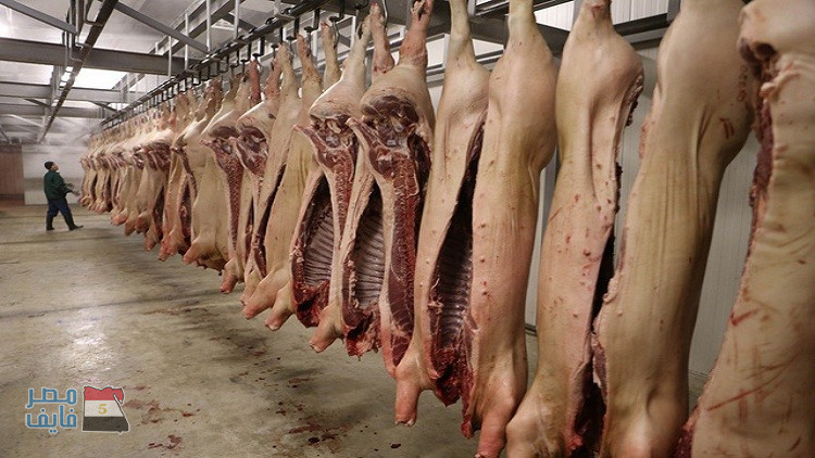 بالفيديو| ضبط طن من “لحوم الخنازير” معدة للبيع لـ”سوبر ماركت” شهير