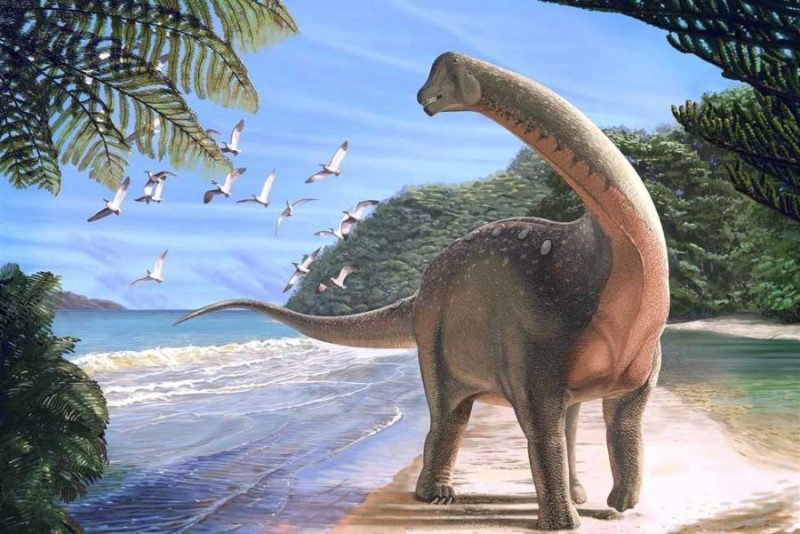 “منصوراصورس”.. ديناصور مصري مكتشف بالواحات البحرية (صور)