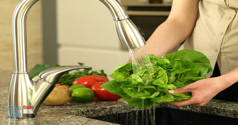 خبير تغذية: يجب غسل الخضروات جيدا للقضاء على بويضات الديدان الموجودة عليها
