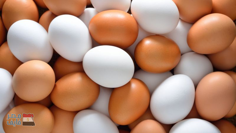 ما السر في ارتفاع سعر البيض البني عن الأبيض.. وأيهما أكثر فائدة؟!