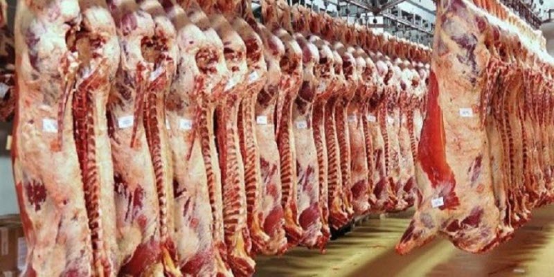 حماية المستهلك تعلن انخفاض أسعار اللحوم  بنسبة تصل إلى 15%