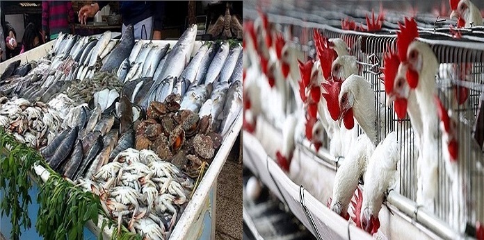 أسعار الأسماك والدواجن اليوم