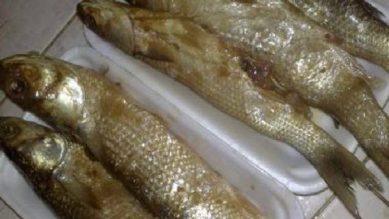 التموين: توفير 150 طن أسماك طازجة ومجمدة بأسعار مخفضة بنسبة 30%.. والفسيخ والرنجة بأسعار مفاجأة