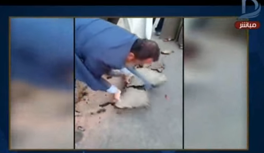 مشهد كارثي وتفاصيل مثيرة: «نائب بالبرلمان يخلع الأسفلت بيده» فيديو