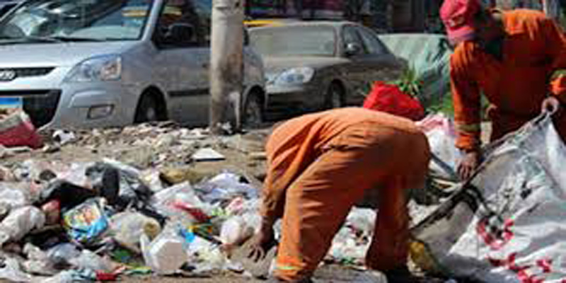 عمال النظافة يعثرون على كبد وأعضاء بشرية في قمامة بالسويس