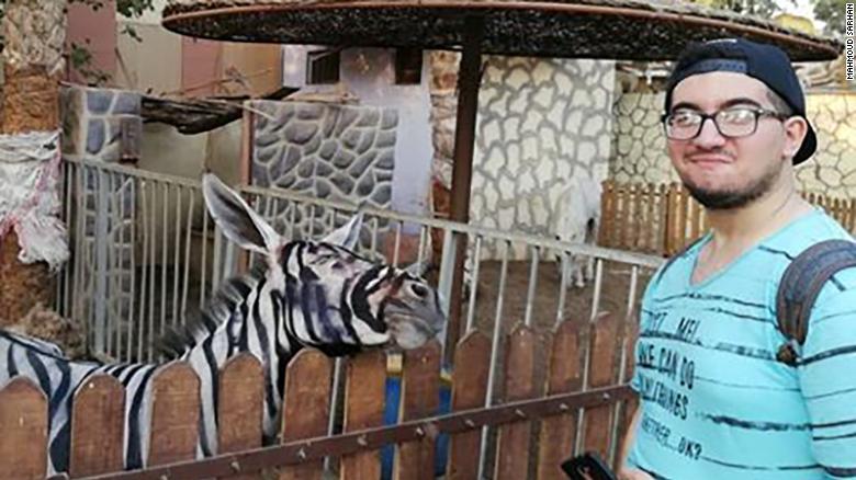 بالصور| حمار وحشي “مزيف” بحديقة الحيوان بالقاهرة يثير اهتمام الصحف العالمية