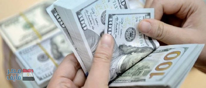 عاجل| تغير مفاجئ في سعر الدولار الأمريكي أمام الجنيه المصري في بعض البنوك.. ننشر مقدار الزيادة الجديدة