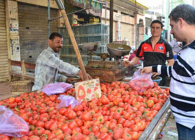 عاجل.. أول بيان رسمي من الحكومة حول إنتشار “فيروس الطماطم” في مصر