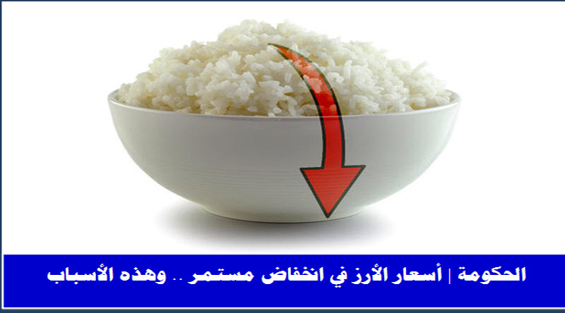 الحكومة | أسعار الأرز في تراجع مستمر .. وهذه الأسباب