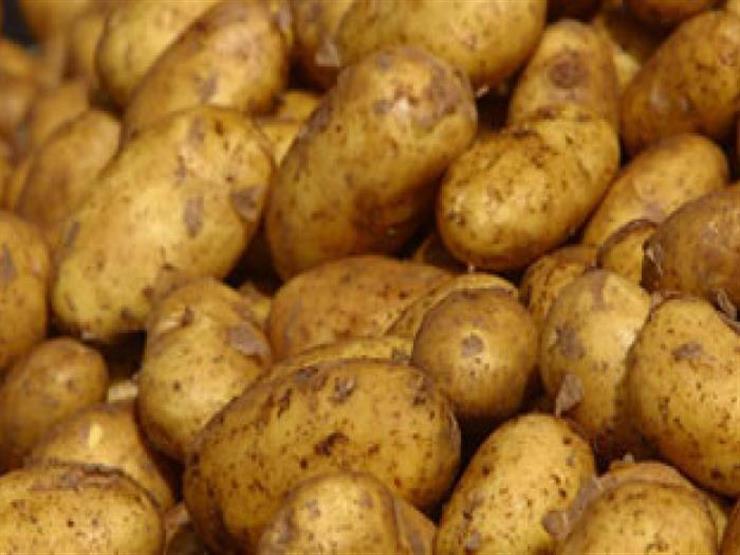 رسمياً.. الحكومة تكشف سبب أزمة البطاطس وارتفاع سعرها.. وموعد هبوط السعر