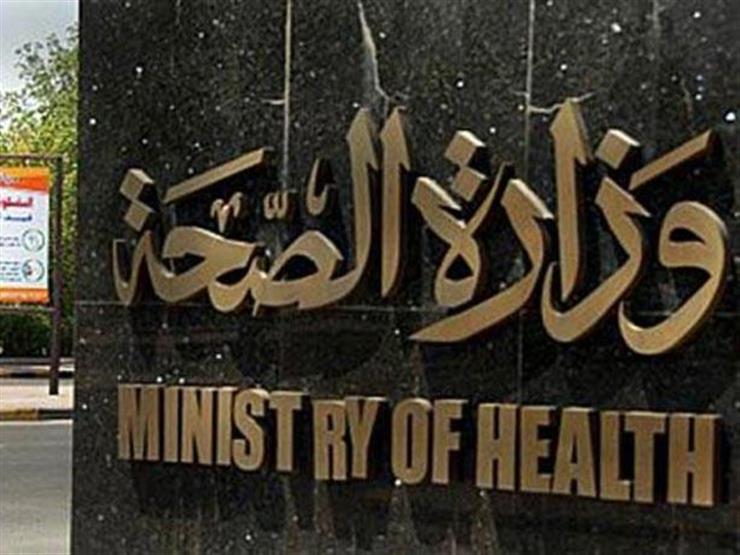 وزارة الصحة تكشف أساب انتشار الذباب خلال هذه الأيام وأمام توالده