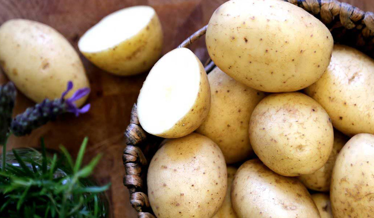 بعد ارتفاع سعرها بشكل كبير خلال الفترة الأخيرة وزارة الزراعة تكشف عن موعد انخفاض سعر البطاطس