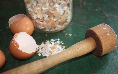 ما هي فوائد قشر البيض وطريقة الحصول على قشور غير صلبه