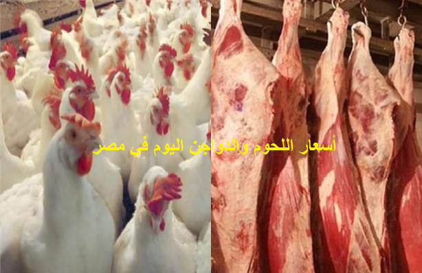  أسعار اللحوم والدواجن اليوم الأحد 17/2/2019.. ارتفاع ملحوظ بأسعار الفراخ البيضاء