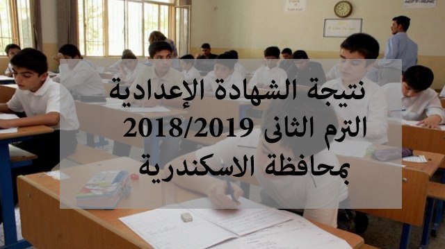 نتيجة الشهادة الابتدائية والإعدادية محافظة الإسكندرية 2019 برقم الجلوس