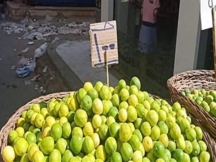 “بعد وصول سعر الكيلو لـ 100 جنيه”.. الحكومة تكشف عن مفاجآة بشأن الليمون منذ قليل