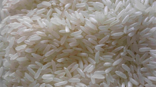 تعرف على حقيقة ارتفاع أسعار الأرز