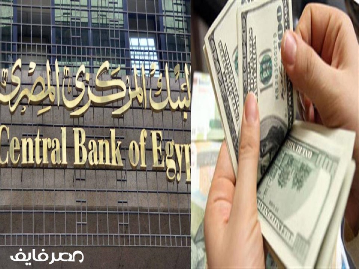 البنك المركزي يفاجئ المصريين بمليارات الدولارات خلال أربع سنوات