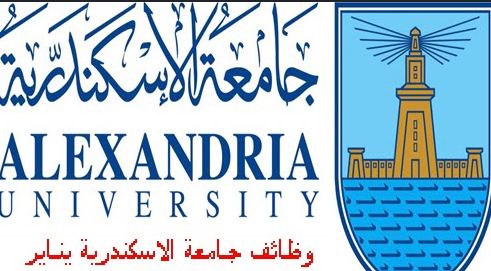 وظائف جامعة اسكندرية 2020