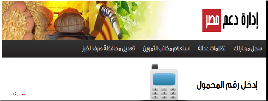 ادخل على بوابة موقع دعم مصر لتسجيل رقم الموبايل tamwin وسجل رقم الموبايل بالخطوات والصور 2020