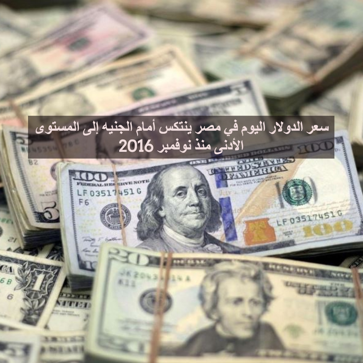 سعر الدولار اليوم في مصر ينتكس أمام الجنيه إلى المستوى الأدنى منذ نوفمبر 2016