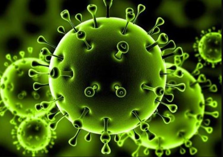 فيروس كورونا آخر أخباره مع ظهور أول حالة مصابة في الولايات المتحدة الأمريكية