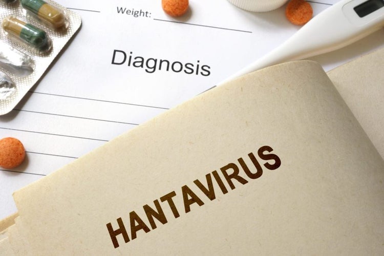 اعراض فيروس هانتا Hantavirus واسباب الإصابة به