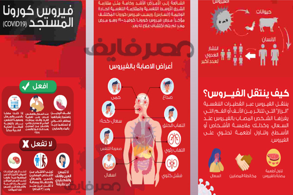 موقع care.gov.eg لتوعية المواطنين ومعرفة طرق انتقال الفيروس وكيفية الوقاية منه وآخر احصائيات في مصر والعالم