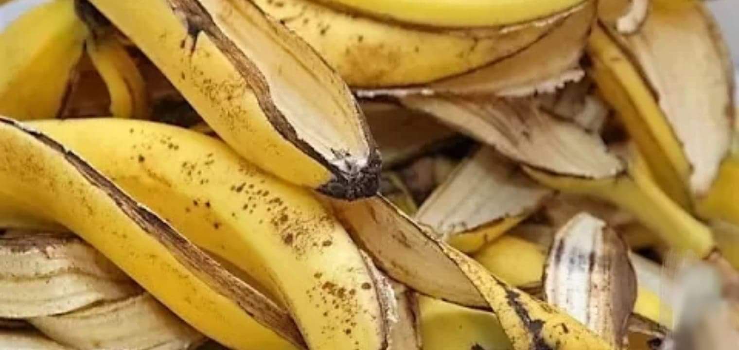فوائد قشر الموز واستخدامته المختلفة علي البشره والشعر
