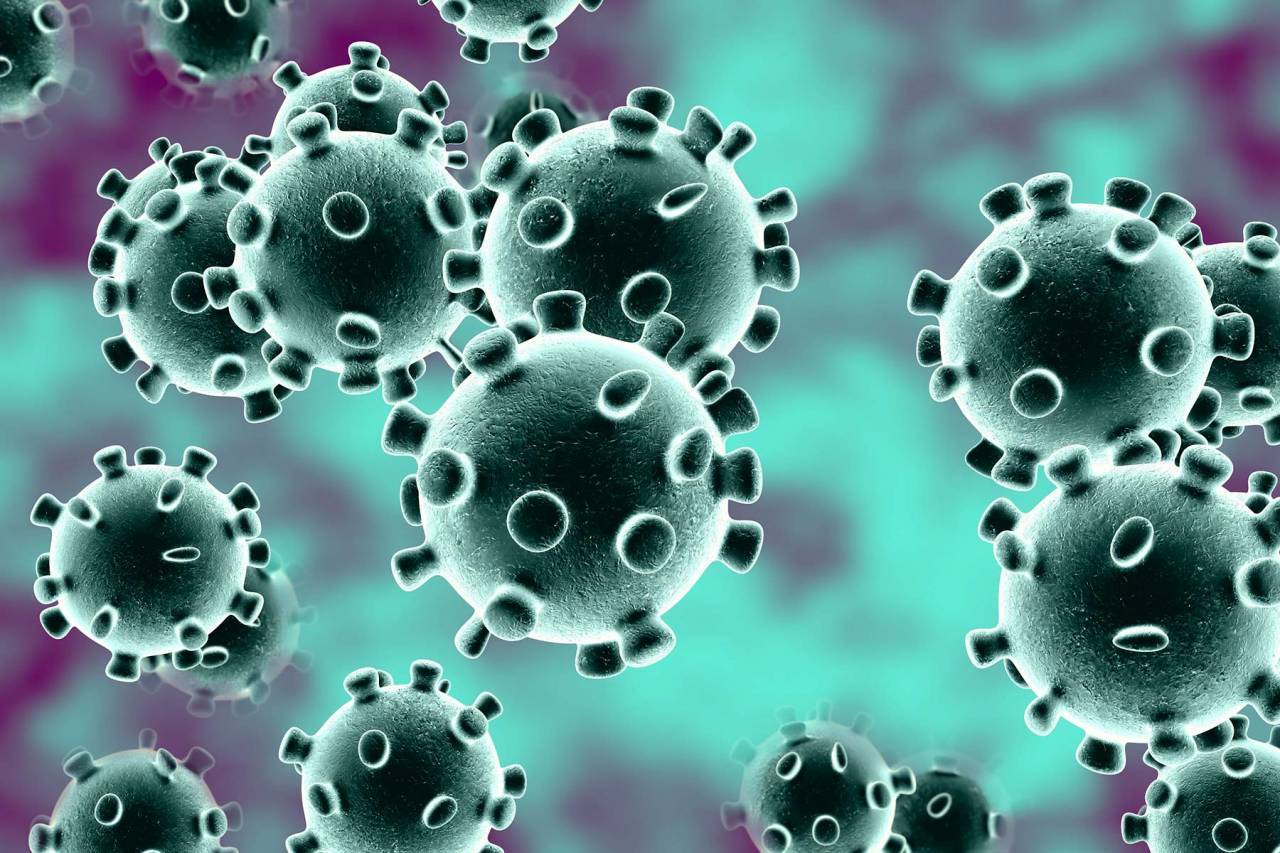 أهم المعلومات التي يجب أن تعرفها عن فيروس كورونا للحفاظ على صحتك