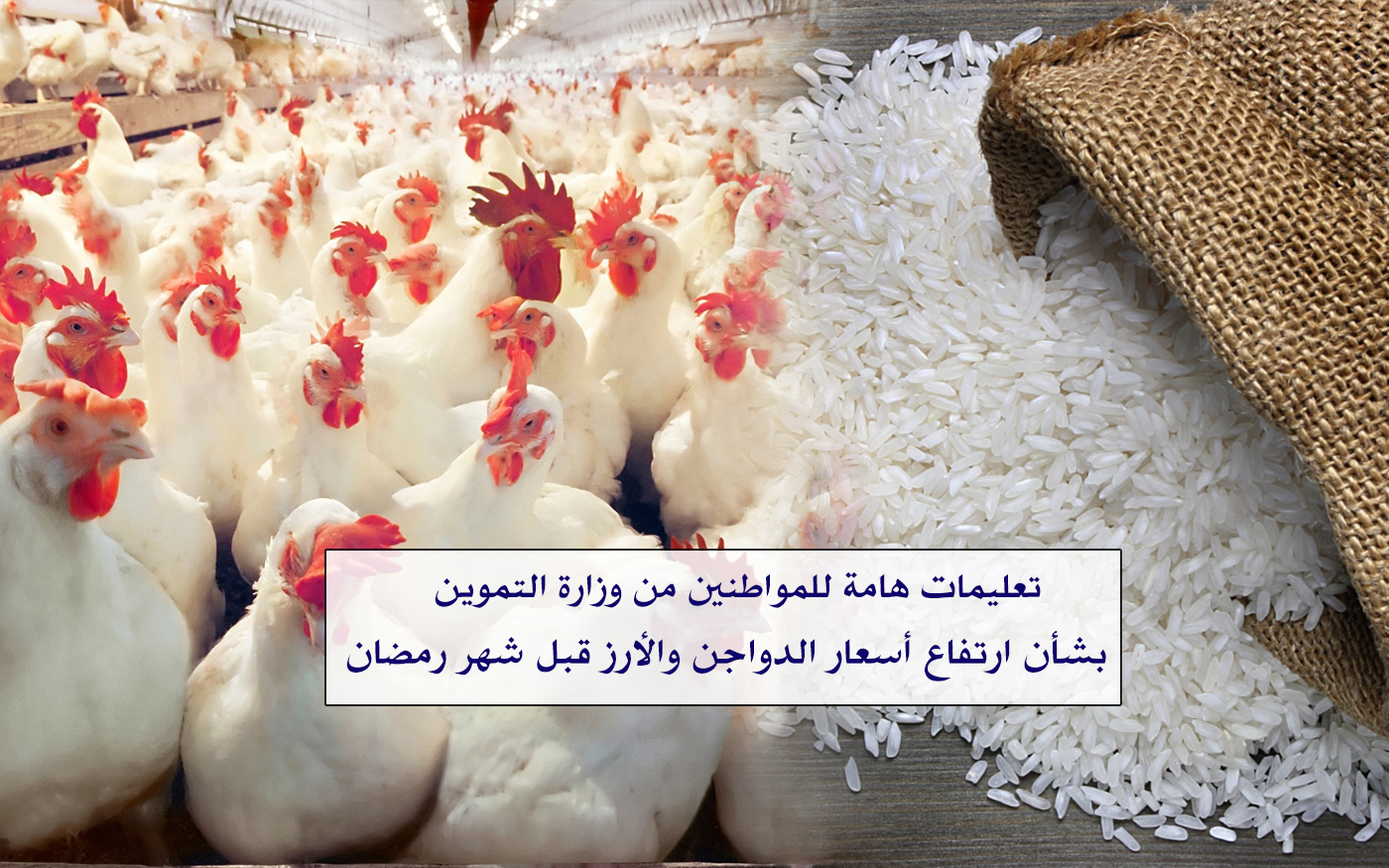 وزارة التموين تنفي أنباء ارتفاع أسعار الدواجن والأرز بالمجمعات الاستهلاكية وتوجيهات مهمة للمواطنين