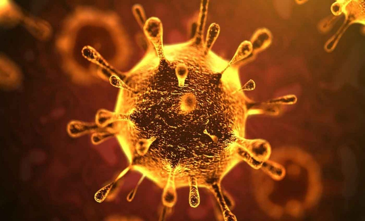دراسة دولية تكشف توقيت وصول مصر إلى ذروة الإصابة بفيروس كورونا عام 2020