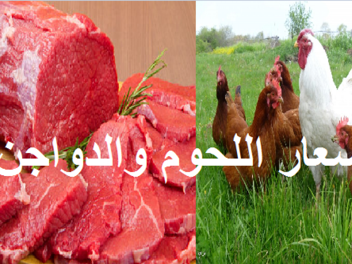التموين تعلن أسعار اللحوم والدواجن وتخفيضات تصل إلى 20% على السلع الغذائية