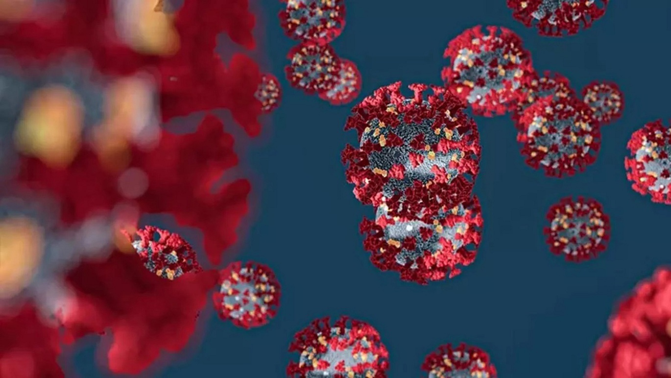 ما زلنا في الموجة الأولى من فيروس كورونا.. لجنة مكافحة الفيروس تكشف تفاصيل هامة بشأن تخطي الذروة