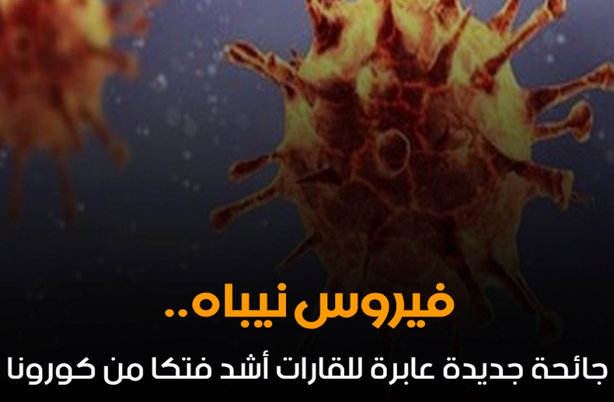 والناظر يطمئن المصريين.. ظهور فيروس نيباه الجديد في الصين ونسبة الوفاة به 75% وأعراضه وأماكن ظهوره
