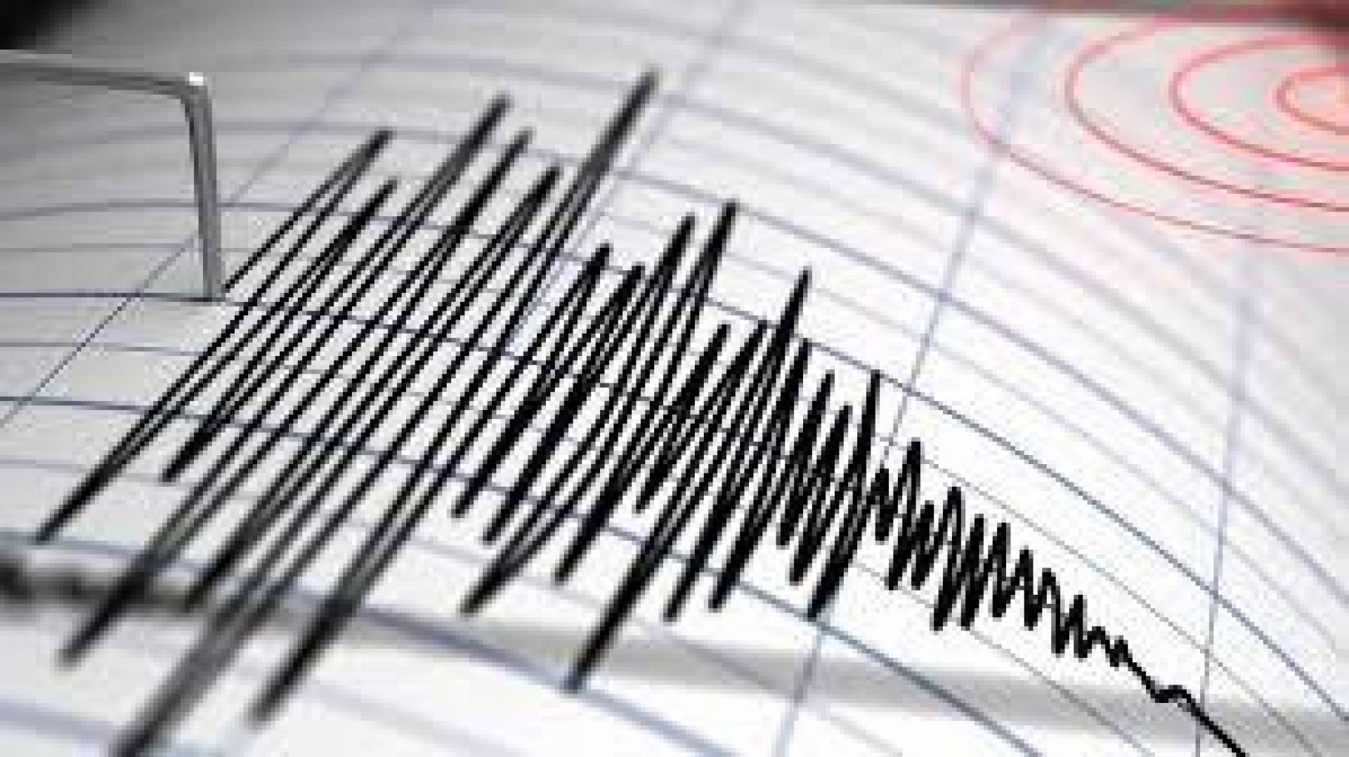 البحوث الفلكية: زلزال شمال الإسكندرية بقوة 3.5 ريختر