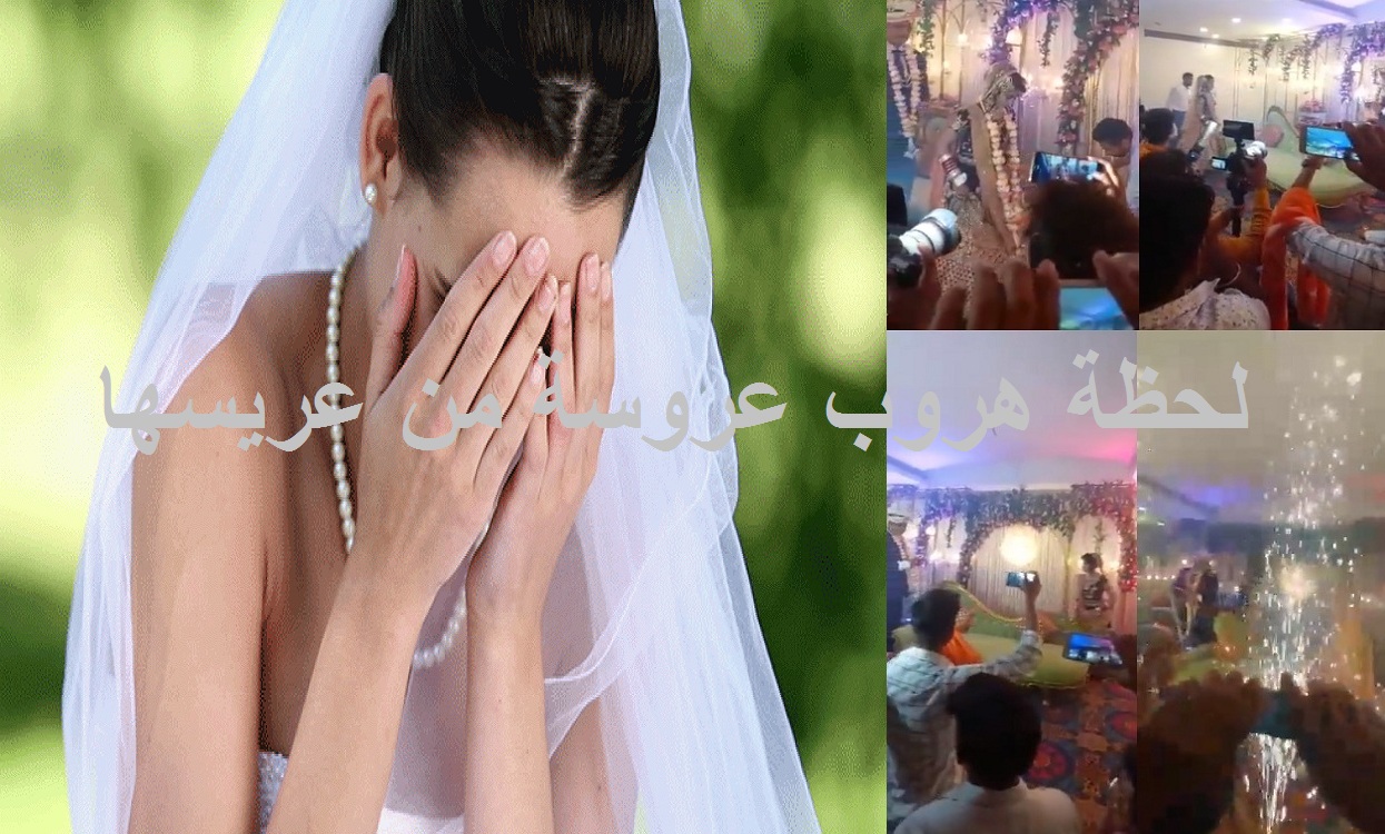 “بالفيديو” العروسة بتجري من العريس .. عروسة تجري هرباً من عريسها ليلة زفافها أمام المعازيم