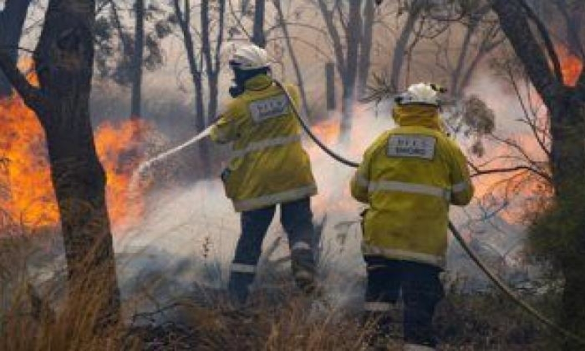الحرائق في الجزائر أتت على حوالي 20 ألف هكتار من الغابات بولاية تيزي وزو