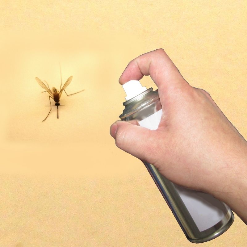 طرق منزلية سهلة للتخلص من الحشرات