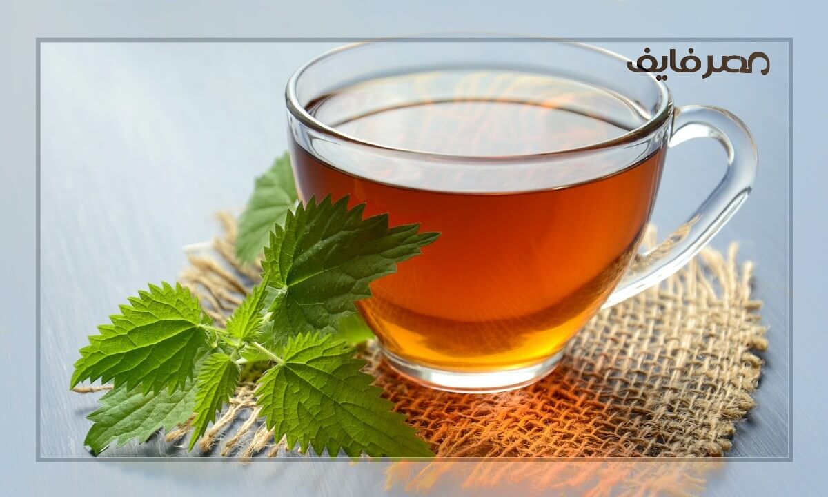 فوائد شرب الشاي الأخضر على الريق للتخسيس – مصر فايف
